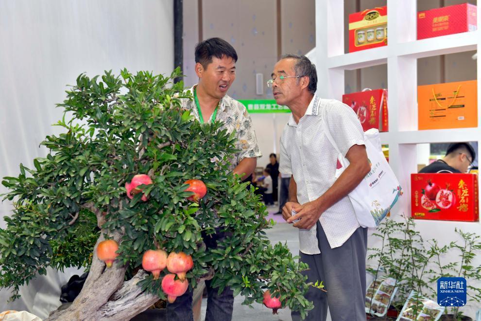 皇冠手机信用网址